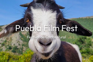Puebla film fest - festival de cortos rurales